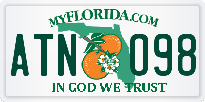 FL license plate ATNO98