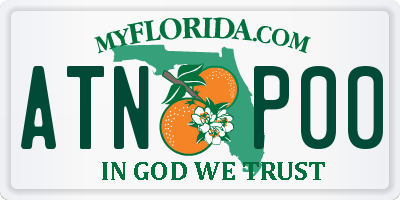 FL license plate ATNP00