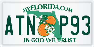 FL license plate ATNP93