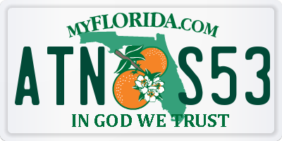 FL license plate ATNS53