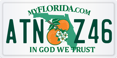 FL license plate ATNZ46