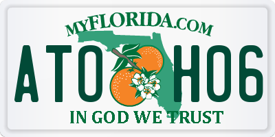 FL license plate ATOH06
