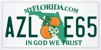 FL license plate AZLE65