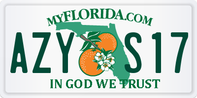 FL license plate AZYS17
