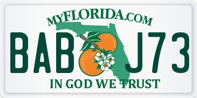 FL license plate BABJ73