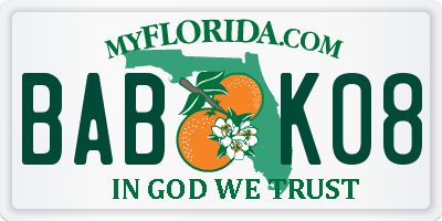 FL license plate BABK08