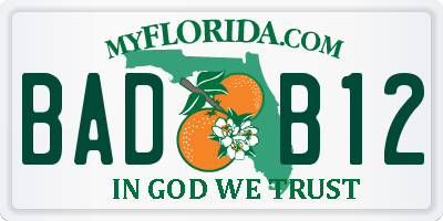 FL license plate BADB12