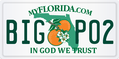 FL license plate BIGP02