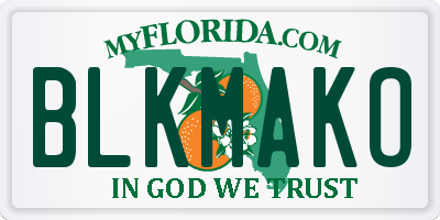 FL license plate BLKMAKO