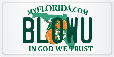 FL license plate BLOWU