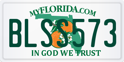 FL license plate BLSS573