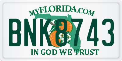 FL license plate BNK8743