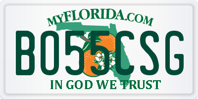 FL license plate BO55CSG