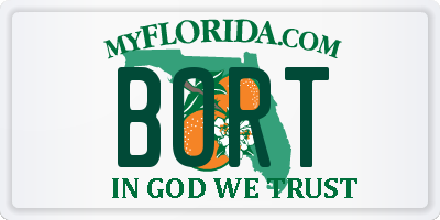 FL license plate BORT