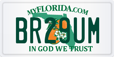 FL license plate BR29UM