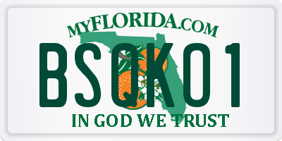 FL license plate BSQKO1