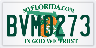 FL license plate BVM0273