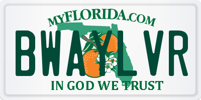 FL license plate BWAYLVR