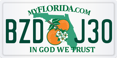 FL license plate BZDJ30