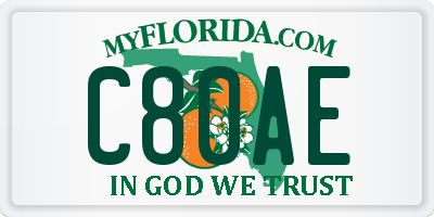 FL license plate C80AE