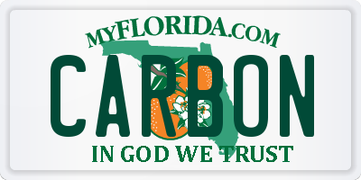 FL license plate CARBON