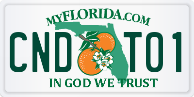 FL license plate CNDT01