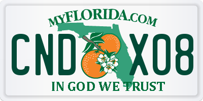 FL license plate CNDX08