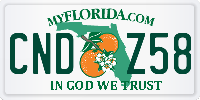 FL license plate CNDZ58