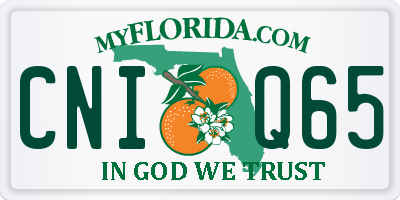 FL license plate CNIQ65