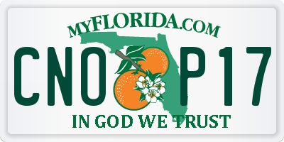FL license plate CNOP17