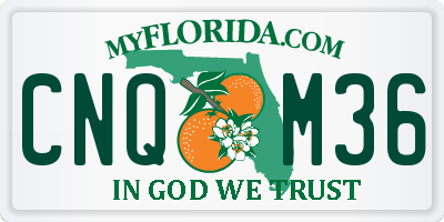 FL license plate CNQM36