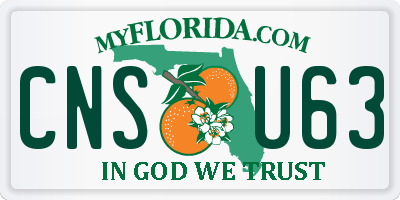 FL license plate CNSU63