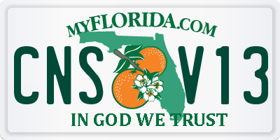 FL license plate CNSV13