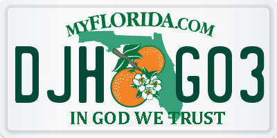 FL license plate DJHG03