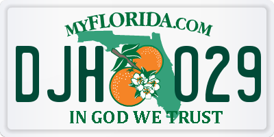 FL license plate DJHO29