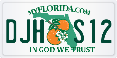 FL license plate DJHS12