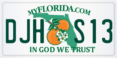 FL license plate DJHS13