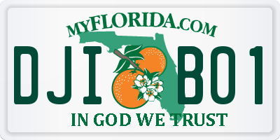 FL license plate DJIB01