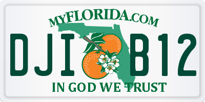 FL license plate DJIB12