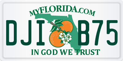 FL license plate DJIB75