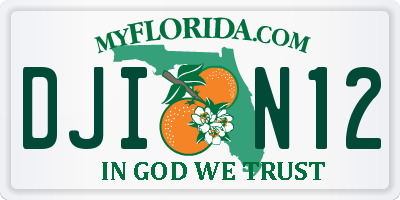 FL license plate DJIN12