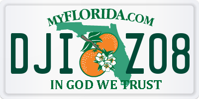 FL license plate DJIZ08