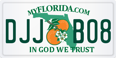 FL license plate DJJB08