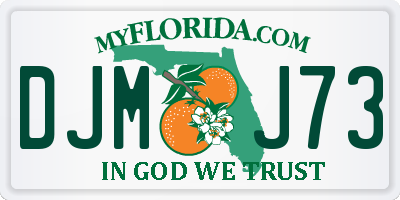 FL license plate DJMJ73
