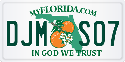 FL license plate DJMS07