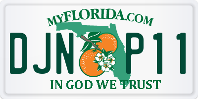 FL license plate DJNP11