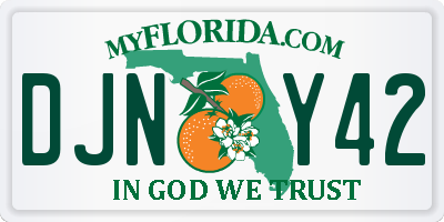 FL license plate DJNY42