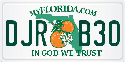 FL license plate DJRB30