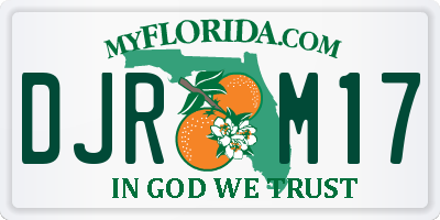 FL license plate DJRM17