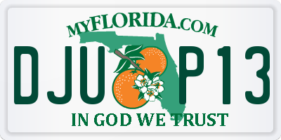 FL license plate DJUP13